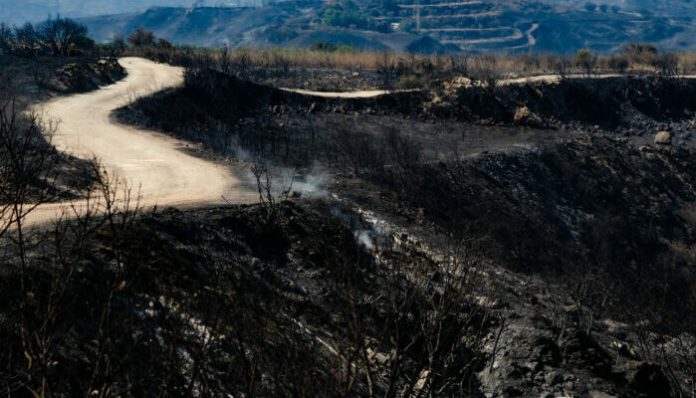 Δράσαμε άμεσα για κατάσβεση πυρκαγιάς στην Πάφο, υποστηρίζει ο Διευθυντής του Τμήματος Δασών